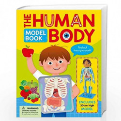 Human Body Model Book by Samantha Hilton Book-9781784283353