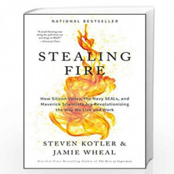 Stealing Fire: How Silicon Valley, the Navy SEALs and Maverick Scientists Are Revolutionizing the Way We Live and Work by Steven