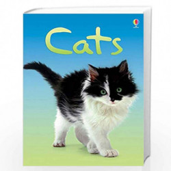 Cats (Usborne Beginners) byBook-9780746080474