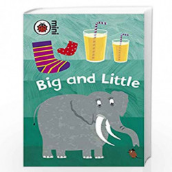Early Learning Big And Little by Airs, Mark Book-9781409301783