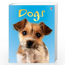 Dogs (Usborne Beginners) by HELBROUGH EMMA Book-9780746080481