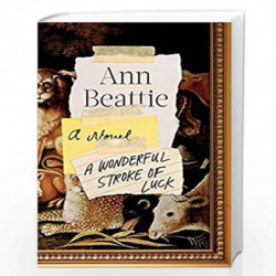 A Wonderful Stroke of Luck by BEATTIE ANN Book-9780525557340