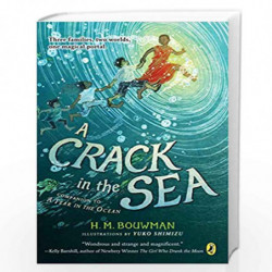 A Crack in the Sea by Bouwman, H. M. Book-9780399545214