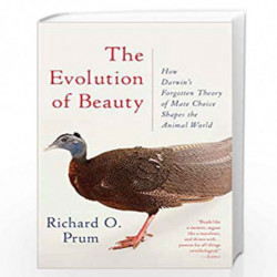 The Evolution of Beauty: How Darwin's Forgotten Theory of Mate Choice Shapes the Animal World - and Us by PRUM, RICHARD O. Book-