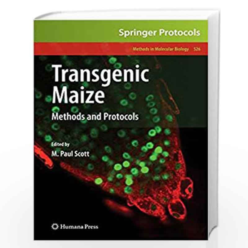 Transgenic Maize: Methods and Protocols: 526 (Methods in Molecular Biology) by M. Paul Scott Book-9781934115497