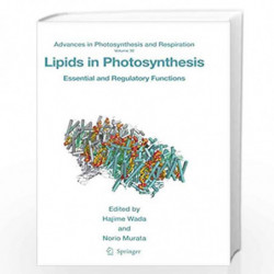 Lipids in Photosynthesis: Essential and Regulatory Functions (Advances in Photosynthesis and Respiration) by Hajime Wada