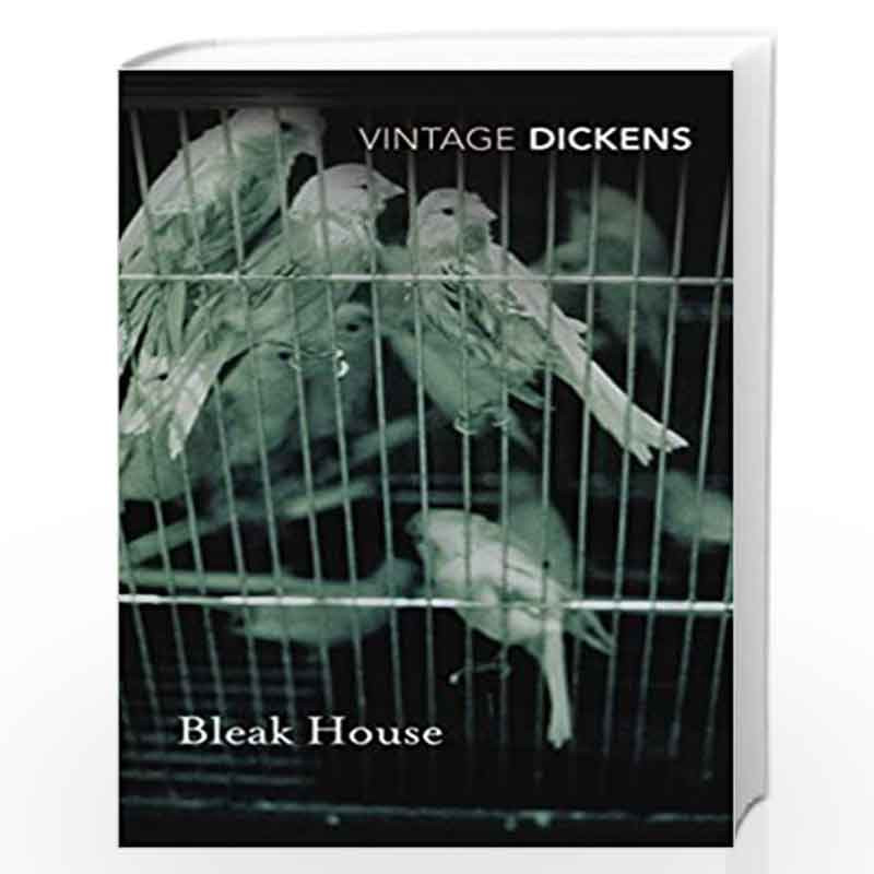 Bleak House (Vintage Classics) by Dickens, Charles Book-9780099511458