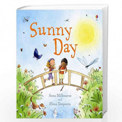 Sunny Day (Picture Books) by NA Book-9781409544838