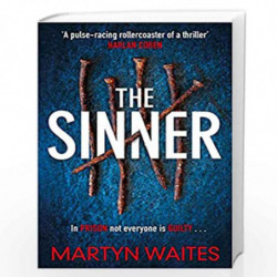 The Sinner: In prison not everyone is guilty . . . (Tom Killgannon 2) by Martyn Waites Book-9781785765520