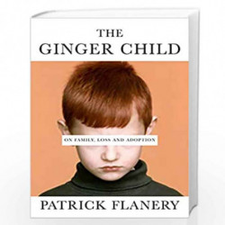 Ginger Child by Patrick Flanery Book-9781786497246