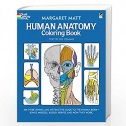 Human Anatomy (Dover Children's Science Books) by Matt, Margaret Book-9780486241388