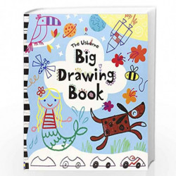 Big Drawing Book (Usborne) by Usborne Book-9781409550297