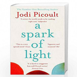 A Spark of Light: THE NUMBER ONE SUNDAY TIMES BESTSELLER by Picoult, Jodi Book-9781444788167