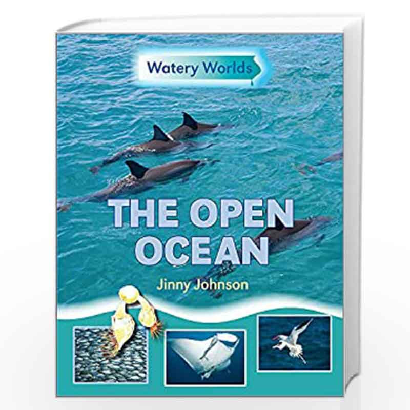 The Open Ocean (Watery Worlds) by JOHNSON JINNY Book-9781445138336