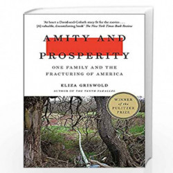 Amity and Prosperity: One Family and the Fracturing of America - Winner of the Pulitzer Prize for Non-Fiction 2019 by Griswold, 