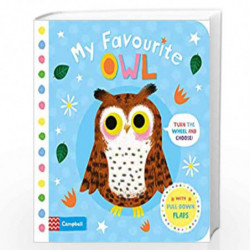 My Favourite Owl by Daniel Roode Book-9781509898053