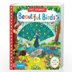 Beautiful Birds (First Explorers) by Chorkung Book-9781509898336