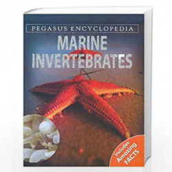 PEGASUS ENCYCLOPEDIA Marine Invertebrates: 1 (Sea World) by PEGASUS Book-9788131912102