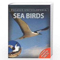 Sea Birds: 1 (Sea World) by PEGASUS Book-9788131912140