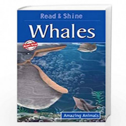Whales by NILL Book-9788131935750