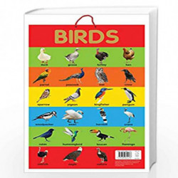 Birds - Early Learning Educational Posters For Children: Perfect For Kindergarten, Nursery and Homeschooling (19 Inches X 29 Inc