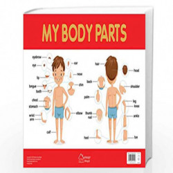 My Body Parts Chart - Early Learning Educational Chart For Kids: Perfect For Homeschooling, Kindergarten and Nursery Students (1