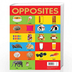 Opposites Chart - Early Learning Educational Chart For Kids: Perfect For Homeschooling, Kindergarten and Nursery Students (11.5 