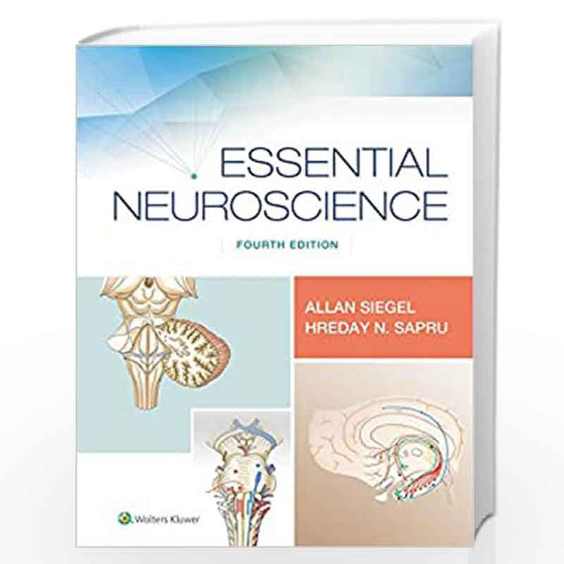 ESSENTIAL NEUROSCIENCE 4ED (PB 2019) by SIEGEL A Book-9781496382405
