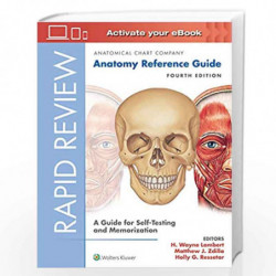 Rapid Review: Anatomy Reference Guide: A Guide for Self-Testing and Memorization by LAMBERT H W Book-9781496391605
