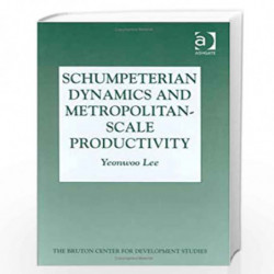 Schumpeterian Dynamics and Metropolitan-scale Productivity (Bruton Centre for Development Studies S.) by Yeonwoo Lee Book-978075