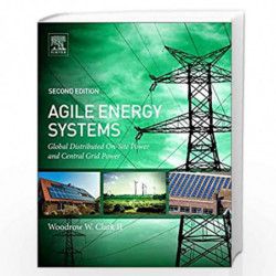 Agile Energy Systems: Global Distributed On-Site and Central Grid Power (Elsevier Global Energy Policy and Economics) by Woodrow