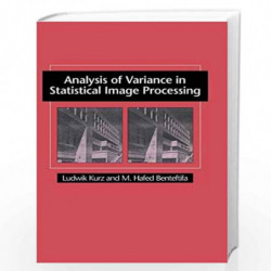 Analysis of Variance in Statistical Image Processing by M. Hafed Benteftifa Book-9780521581820