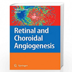 Retinal and Choroidal Angiogenesis by John Penn Book-9781402067792