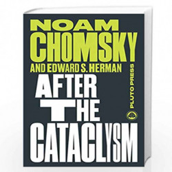 After the Cataclysm: The Political Economy of Human Rights: Volume II (Chomsky Perspectives) by Noam Chomsky
