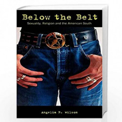 Below the Belt: Sexuality, Religion and the American South (Sexual politics) by Angelia R. Wilson Book-9780304335503