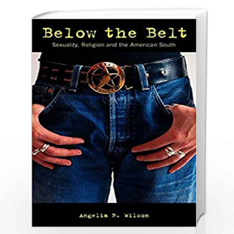 Below the Belt: Sexuality, Religion and the American South (Sexual politics) by Angelia R. Wilson Book-9780304335503