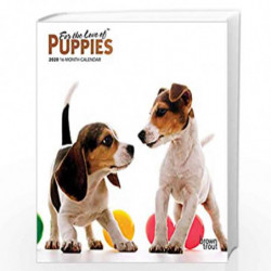 Puppies, for the Love of 2020 Mini Wall Calendar by Browntrout Publishing Book-9781975409319