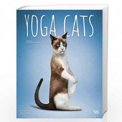 Yoga Cats 2020 Square Wall Calendar by Browntrout Publishers, Inc Book-9781975412258