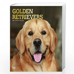 Golden Retrievers 2020 Square Wall Calendar by Browntrout Publishers, Inc Book-9781975407506