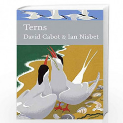 Terns: Book 123 (Collins New Naturalist Library) by David Cabot and Ian Nisbet Book-9780007412488