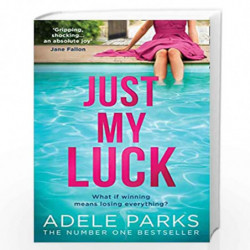 Just My Luck: The Sunday Times Number One Bestseller from the author of gripping domestic thrillers and bestsellers like Lies Li