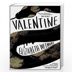 Valentine: A Stunning Debut and a New York Times Bestseller by Wetmore, Elizabeth Book-9780008331931