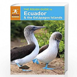 The Rough Guide to Ecuador & the Galpagos Islands (Rough Guides) by NA Book-9780241245743