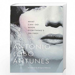 What Can I Do When Everything`s On Fire?  A Novel by Ant?nio Lobo Antunes Book-9780393329483