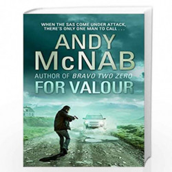 For Valour: (Nick Stone Thriller 16) by MCNAB, ANDY Book-9780552171434