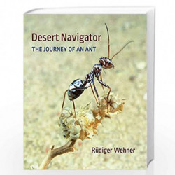 Desert Navigator  The Journey of an Ant by Wehner, R?diger Book-9780674045880