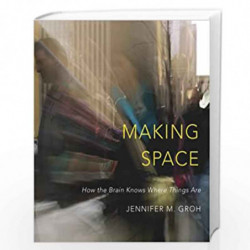 Making Space  How the Brain Knows Where Things Are by Jennifer M. Groh Book-9780674863217