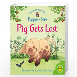 Pig Gets Lost (Farmyard Tales) by Usborne Book-9780746063149