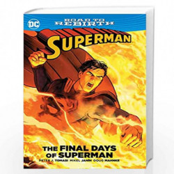 Superman: The Final Days of Superman by TOMASI, PETER J. Book-9781401267223