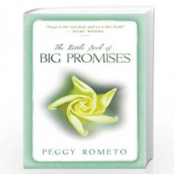 Little Book of Big Promises by Peggy Rometo Book-9781401924539